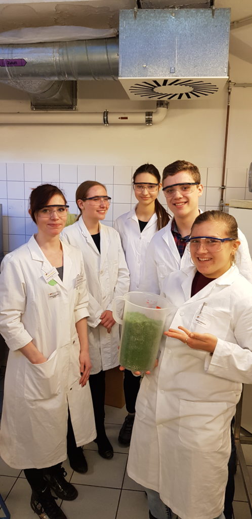 Die Schülerinnen und Schüler der AG Biotechnologie mit zerkleinerten Fichtennadeln. Von links nach rechts: Vanessa Weigandt, Sophie Damm, Laura Kulcsar, Steve Albrecht, Melanie Bednarz. Nicht auf dem Bild ist Tim Goedecke.